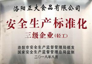 安全生产标准化三级企业